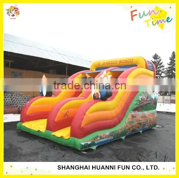 Inflatable Bouncer Slide: Dry Bouncy Slide and Wet Water Slide photo-2