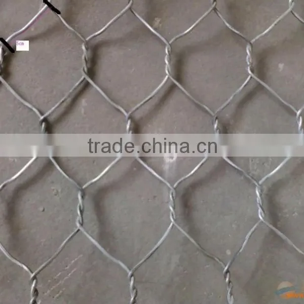 Stone Cage Nets Hexagonal Wire Netting Welded Wire Mesh(factory) photo-3