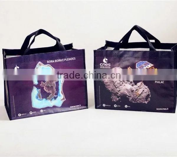 Wenzhou Beautiful Wholesale pp Woven Carton Chrismas Shopping Bag photo-2