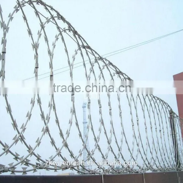 Galvanized Razor Barbed Wire (zekai ) photo-6