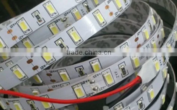 Dc12v 24v Brilliant Flexible Led Strip Light Ribbon Light photo-2