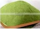 High Grade Jpanese Green Tea Uji Matcha Made in Japan Kyoto Uji Bulk