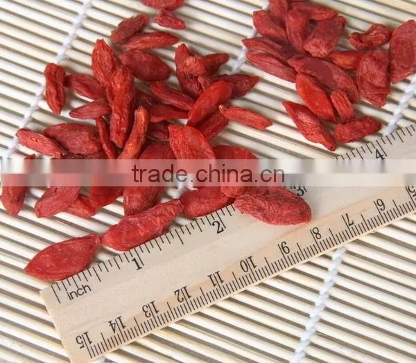Organic Goji Berries photo-5