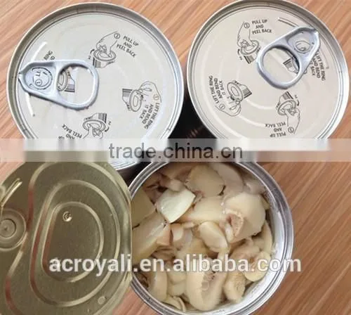 Canned Mushroom photo-5