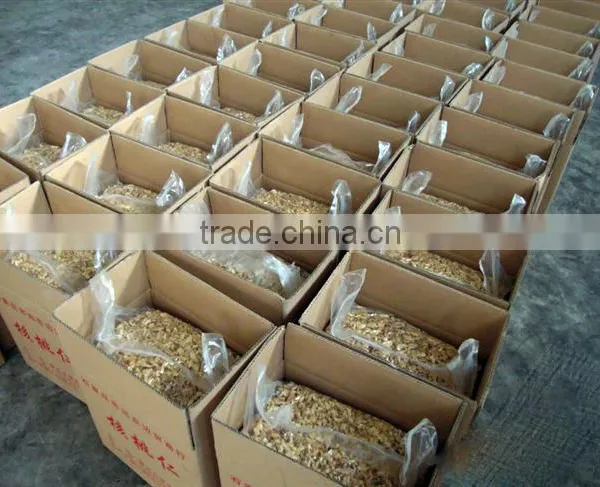 Quality Walnut and Walnut Kernel photo-3
