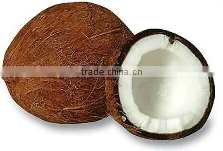 Semi-Husked Fresh Matured Coconut
