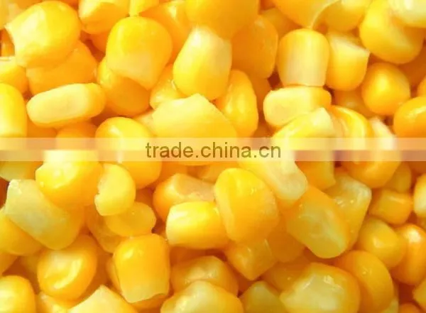 Canned Food Best Canned Sweet Corn Kernel With Good Price photo-4