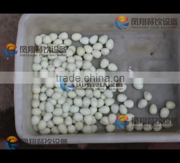 Chinese Super Electrical Automatic Small Quail Egg Peeler photo-6