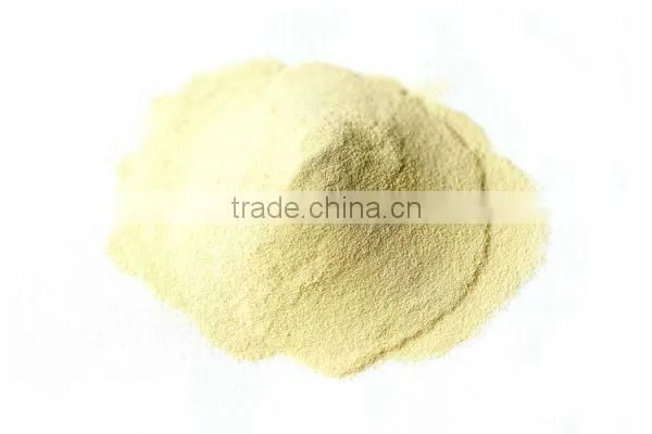 Angel Yeast Cell, Excellent Source of Natural Nutrients