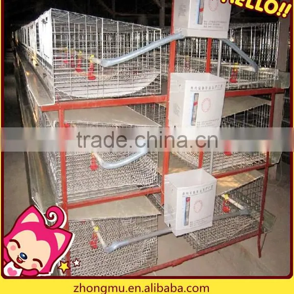 Fully Automatic Chicken Cage Equipment for Poultry Farming