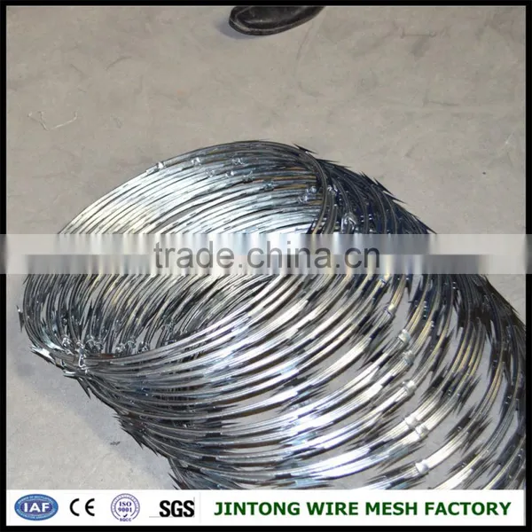 Concertina Razor Wire Price With CBT65 Type photo-2