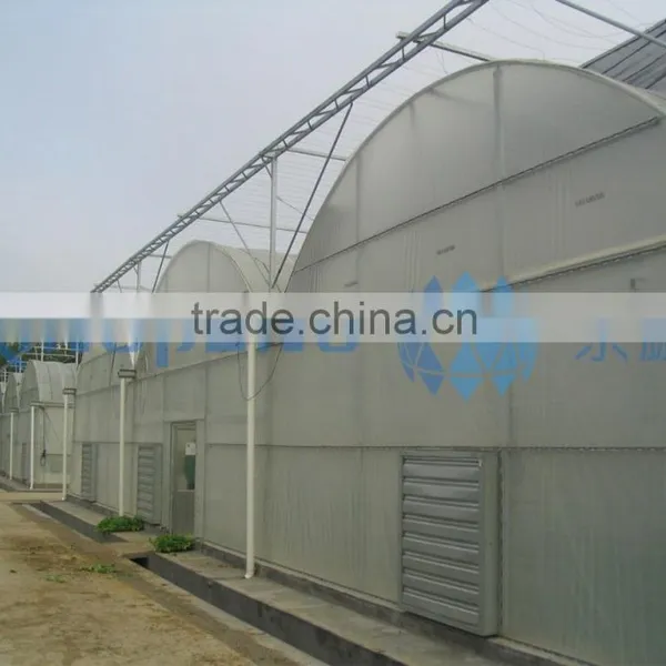 Plastic Film Greenhouse for Vegetable-growing photo-3