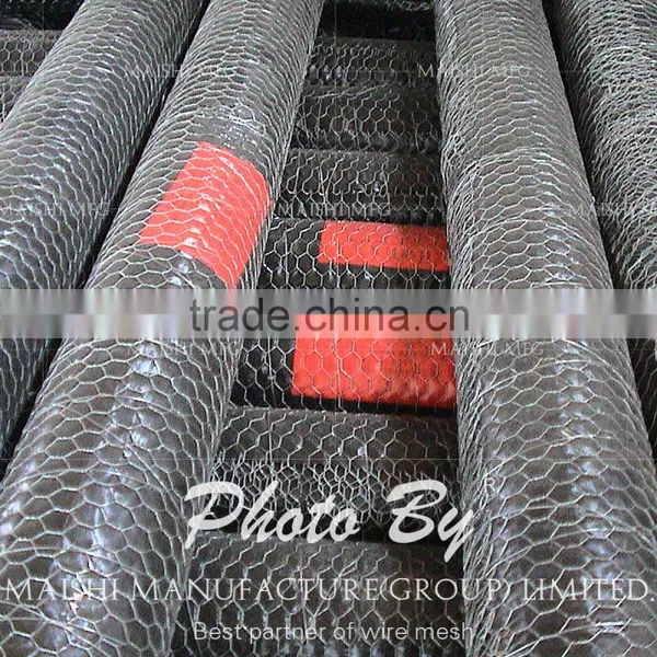 13mm Galvanized Chicken Hexagonal Wire for Africa photo-4