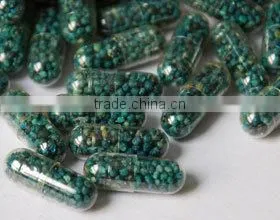 NJP-1500/2000C Series Full Automatic Pill Capsule Filling Machine in Low Price photo-2