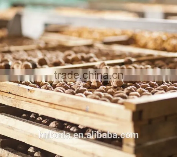 Nut Dehydrator photo-2
