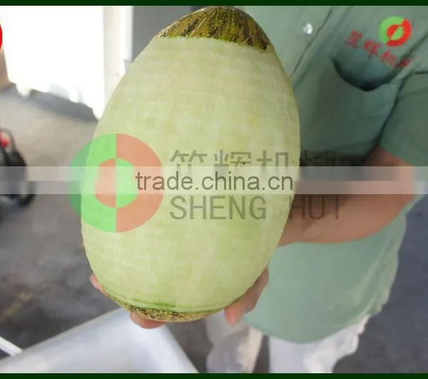Large-scale Wax Gourd Peeling Machine Pumpkin Peeling Machine Stainess Steel Watermelon Peeling Machine photo-4