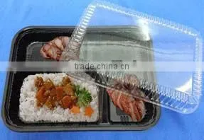 Thermoforming Machine to Make PP Lunch Box, Lunch Trays photo-4