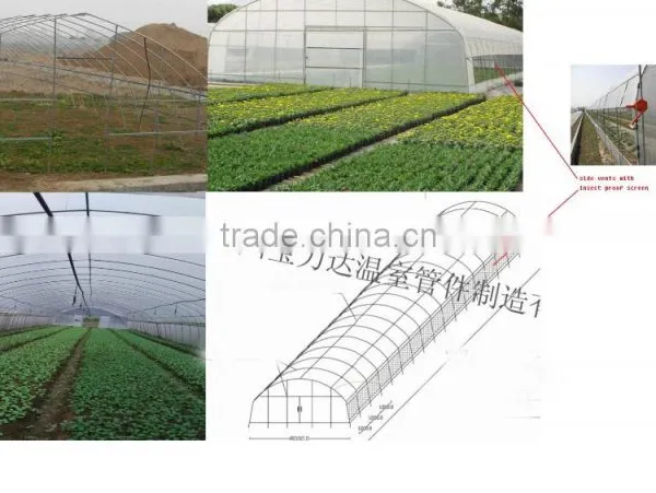 China Supplier Tunnel Greenhouse photo-6