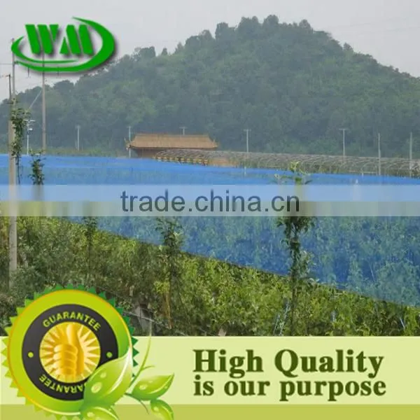 2014 Hot Sale Hdpe Bird Net Mesh photo-2