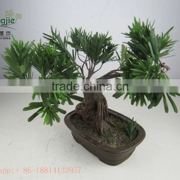 Miniascape,potted Evergreen Landscape,shapped Bonsai photo-3