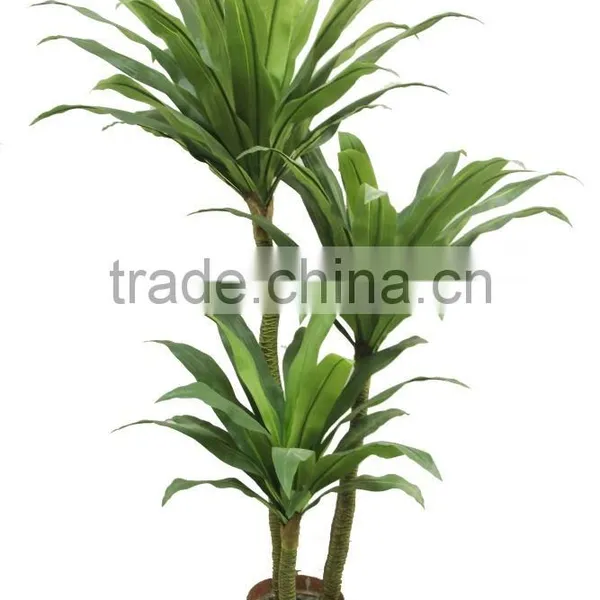 Hot Sale HX010422 Brazilan Lucky Tree photo-2