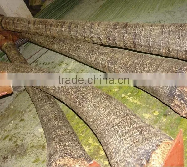 Fake Plastic Coconut Tree Factory Home Garden Ornament Use Artificial Palm Tree photo-3