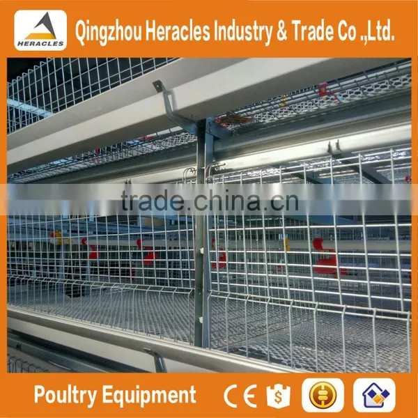 Shandong Trade Assurance Poultry Farming Equipment Automatic Chicken Layer Cage for Sale in Philippines photo-6