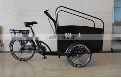 Electric Tricycle Bikes