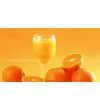 Factory Outlets Mandarine Juice Concentrate