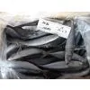 Pacific Mackerel Scomber Japonicus