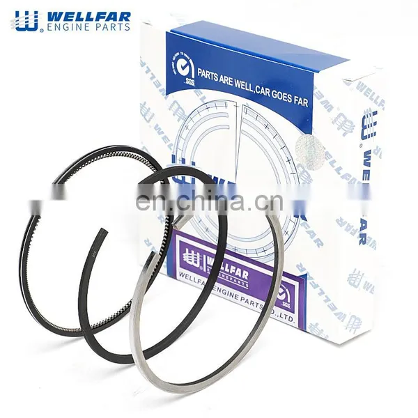 Diesel Spare Part 90.74 mm Piston Ring A57900/LC.7241 for Maxion SPRINTER RANGER Engine. photo-5