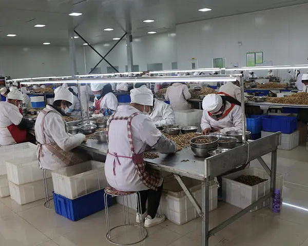 Hebei Suguo International Trade Co., Ltd. company overview - view 2