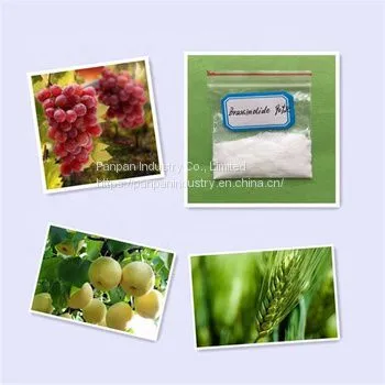 Agriculture Plant Growth Regulator Natural Pesticide Brassinolide 90%tc photo-2