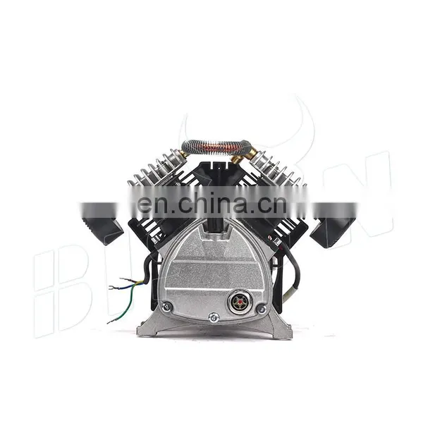 Bison China Manufacture 3Hp 2.2Kw 8Bar 2800Rpm Mini Air Compressor Machine Pump photo-5