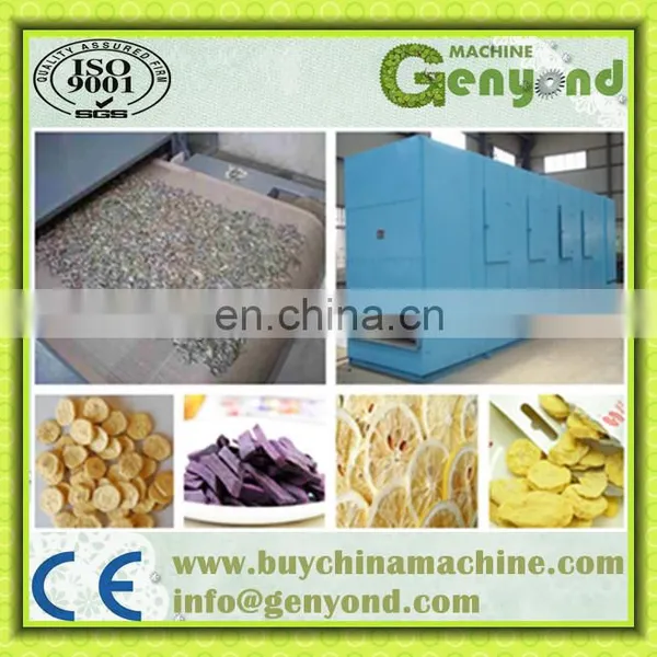 Tunnel Belt Dryer for Dehydrating Vegetable and Fruit photo-2