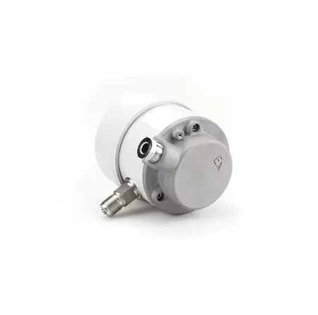 Stainless Steel Pressure Gauge With Shock-proof Diaphragm Gauge With Explosion-proof Electric Contact photo-2