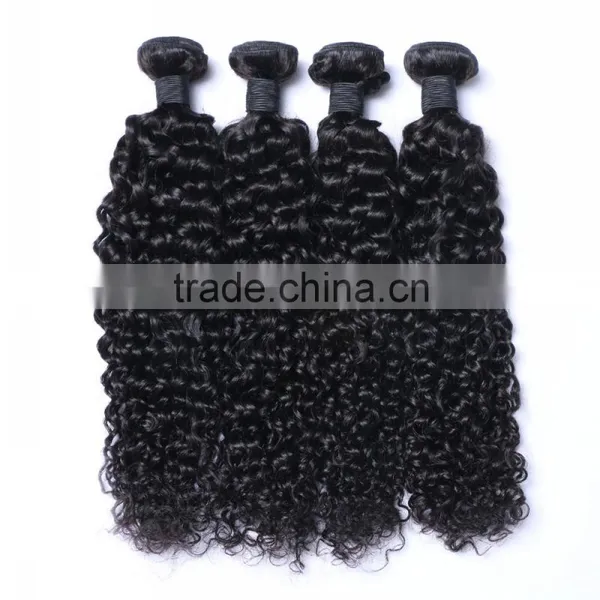 WJ012 Natural Hair Wholesaler 8 Inch Kinky Curl Hair Weaving Remy Extension photo-2