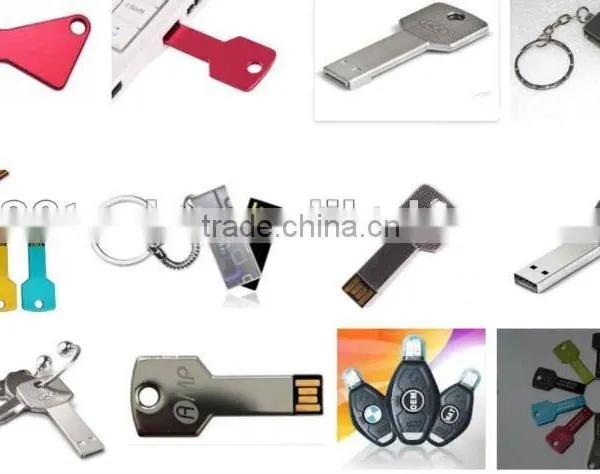 2016 Christmas Gift 2GB Usb Flash Drive Key Chain From Shenzhen Factory Colorful Choice Quality Choice photo-5