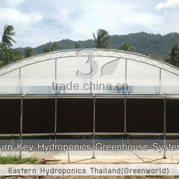 Greenhouse photo-3