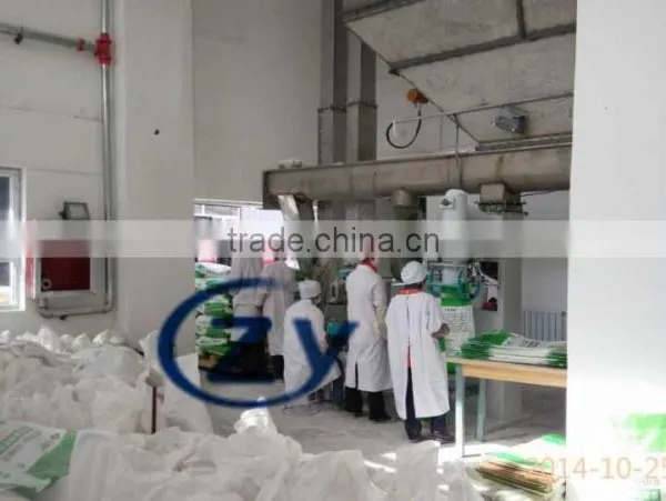 Cassava starch processing line