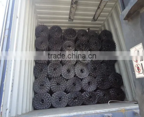 Biaxial Geogrid TGSG20/20,30/30,40/40 photo-4