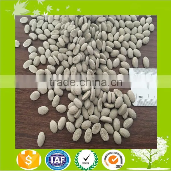 Plastic Desiccant Masterbatch/Cao Desiccant Masterbatch photo-2