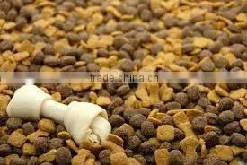 BEST QUALITY REPTILE FOOD