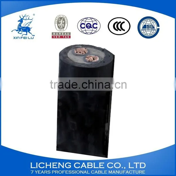 XLPE Insulated PVC Sheathed Copper Power Cable 2core Electric Cable 2x120mm2 photo-4