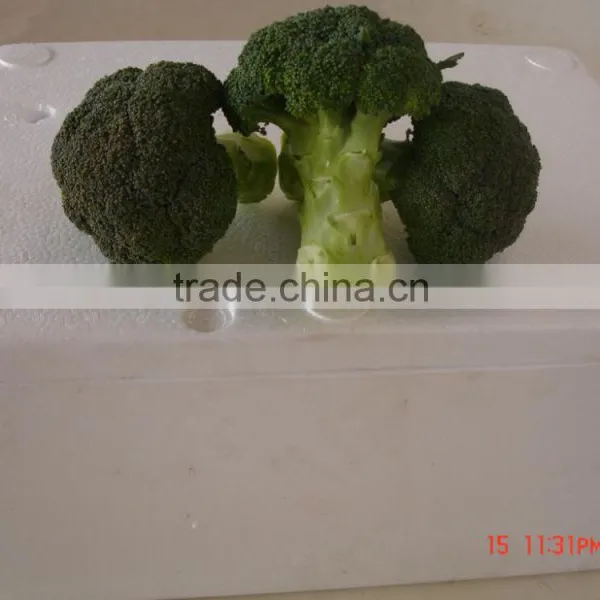 Green Broccoli From China Frozen Broccoli for Sale photo-5