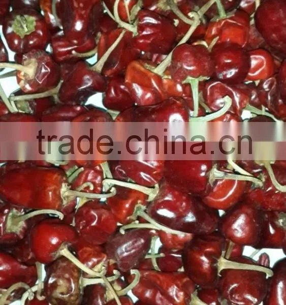 Round Red Chilli photo-4