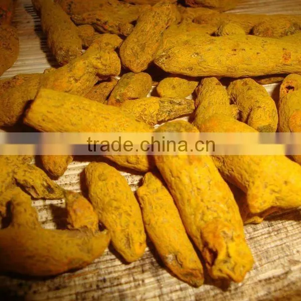Indian Raw Dried Turmeric Finger Available photo-4