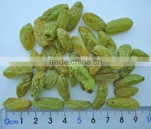 2017 Sultana Raturkish Sultanas Raisins photo-3