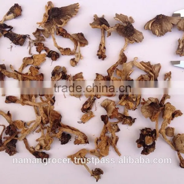 Dried Paddy Straw Mushroom (Volvariella Volvacea) photo-6