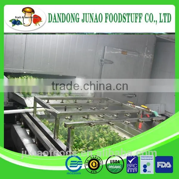 High Quality Grade A IQF Bulk Frozen Broccoli photo-3